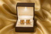 Zircon Fancy Studs-184 (Golden)